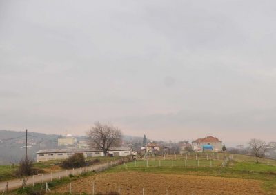 Armash_view of 2011