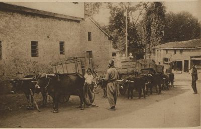 Ammunition convoy from Trebizond_to ERzurum_WW1